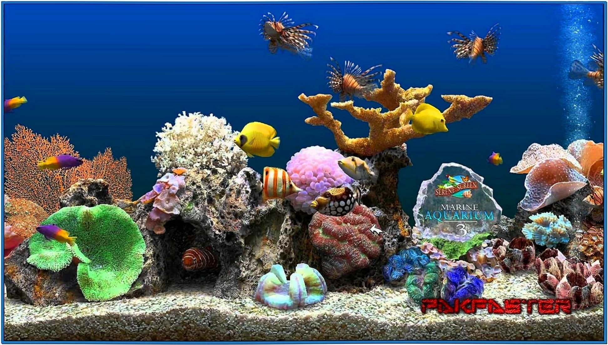 marine aquarium 3 mac torrent